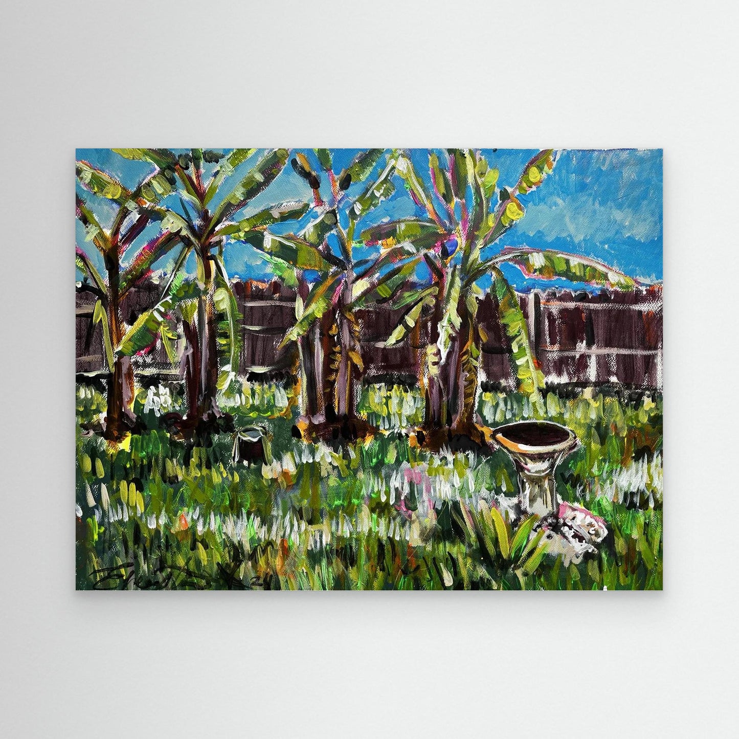 Plátanos silvestres 