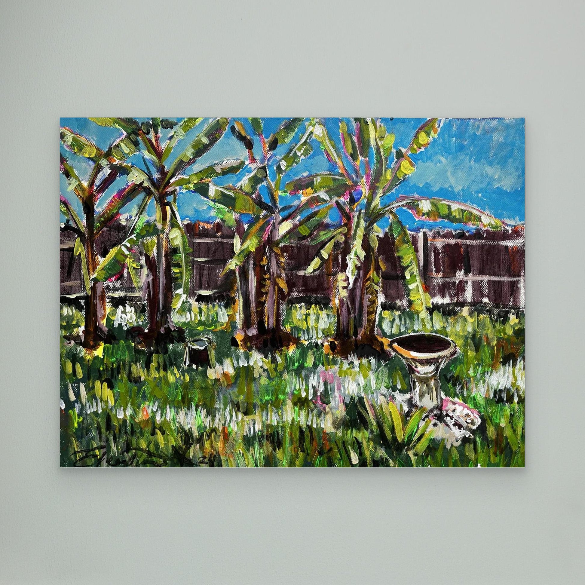 Plátanos silvestres 